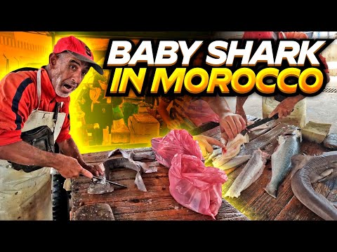 Moroccan Street Food: Shark Bites الدار البيضاء، المغرب I Street Food Explorer