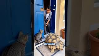 Kaçışa Bakın