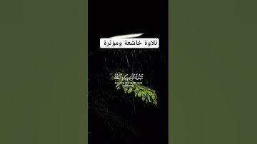 تلاوة خاشعة ومؤثرة جدا #fypシ #instagram #religion #reels #omletarcade #فرنسا #fff #pakistan