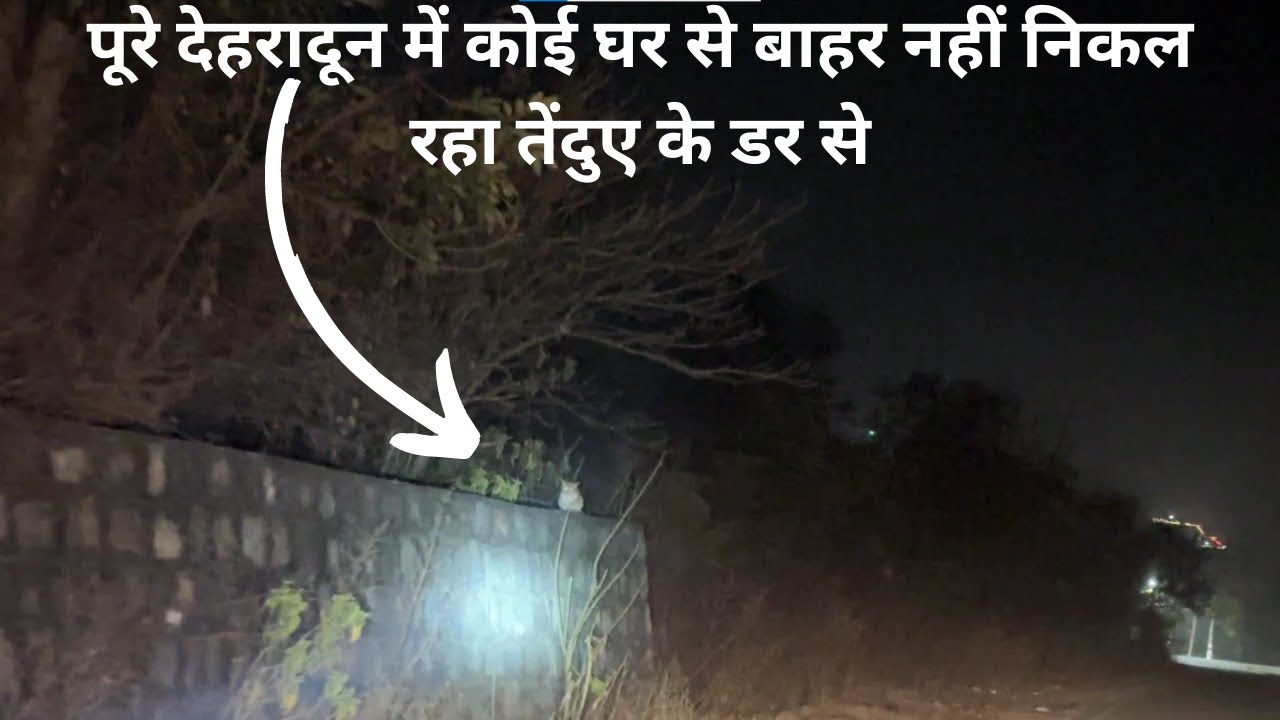 पूरे देहरादून में कोई घर से बाहर नहीं निकल रहा तेंदुए के डर से  