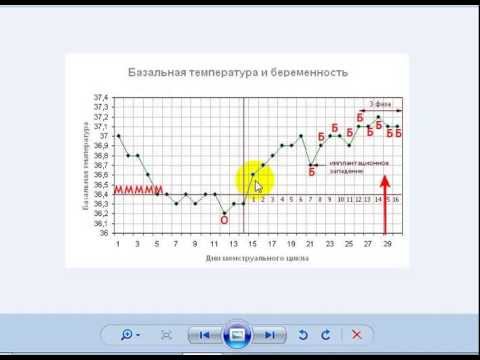 Video: Bazalna Temperatura V Zgodnji Nosečnosti