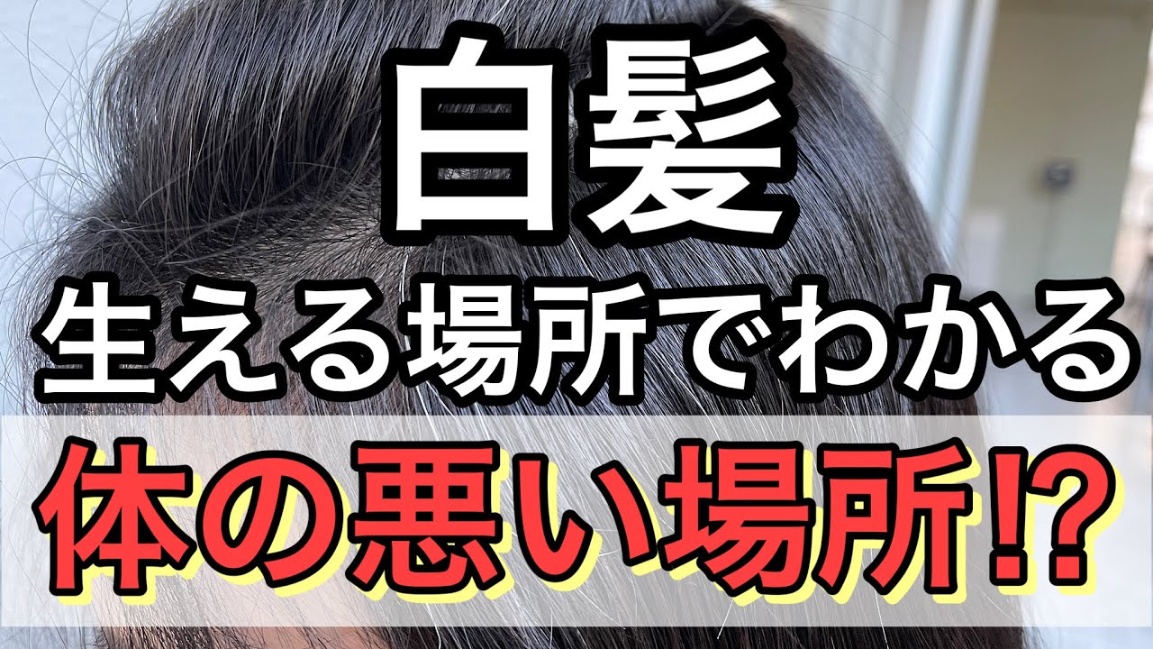 白髪 生える場所によって体調不良 体の悪い場所がわかる 徹底解説 Youtube