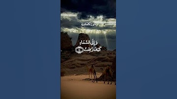 أَفَلَا يَنْظُرُونَ إِلَى الْإِبِلِ كَيْفَ خُلِقَتْ = سورة الغاشية = عبد الباسط عبد الصمد
