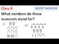 What numbers do these numerals stand for? CBSE Class 8 Maths