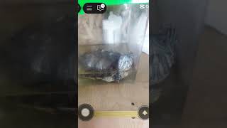 turtle simulator roblox