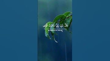 قَالَ رَبِّ إِنِّي دَعَوْتُ قَوْمِي لَيْلًا وَنَهَارًا | سورة نوح ❤️