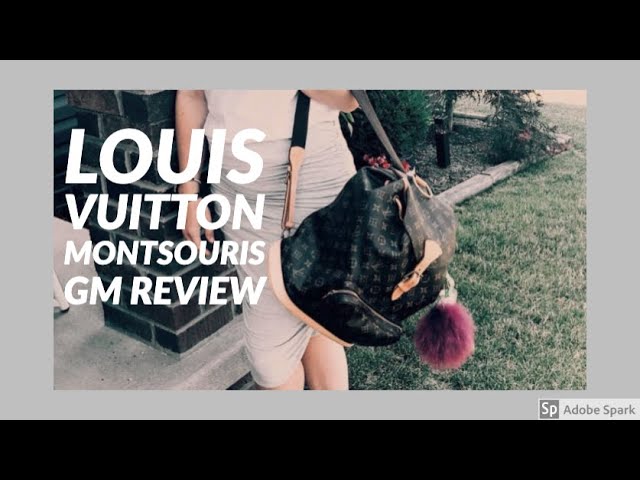 Louis Vuitton Noé vs Louis Vuitton Montsouris GM! 