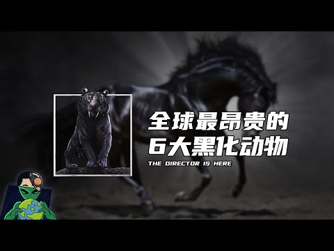 全球最昂贵的6大黑化动物