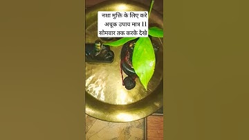 नशा मुक्ति के लिए करे अचूक उपाय मात्र 11 सोमवार तक करके देखे #pandit_pradeep_ji_mishra #shivupay