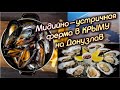 Мидийная, устричная ферма в Крыму на Донузлав, Новоозёрное / Телефон кафе, дегустация и отзывы
