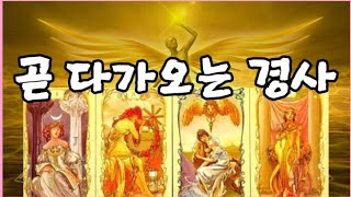 [타로] 곧 다가오는 경사로 근심과 걱정이 사라지실겁니다 #운세 #꽃