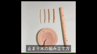 高さ1M 大型鳥用止まり木 天然ヒノキ枝製 【組み立てタイプ】 | ”山地
