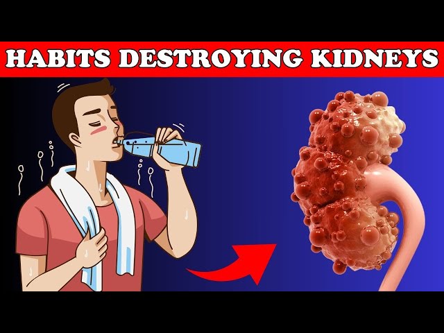 7 Dangerous Daily Habits That Are Hurting Your Kidneys - Find Out Now! | Healthy Care class=