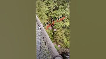 #ٱلرَّحۡمَـٰنُ_عَلَّمَ_ٱلۡقُرۡءَانَ_خَلَقَ_ ٱلۡإِنسَـٰنَ[سورة الرحمن] Gamal Belkan