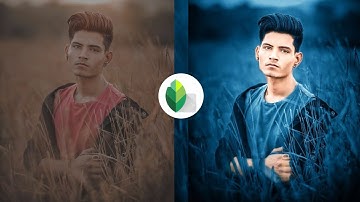 Snapseed Green And Bird Effect Photo Editing Tutorial | Snapseed Background Colour Change Tricks