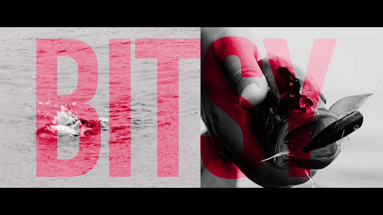 All New Strike King Bitsy Family [ICAST 2023]
