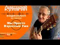 Анатолий Кулагин - Мы Просто Взрослые Уже