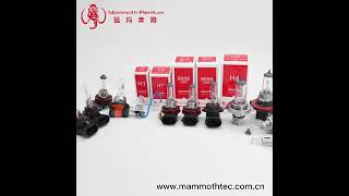 Mammoth Pentium Automobile Halogen Bulb 12V24V Factory Manufacturing