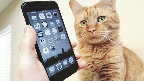 How To Enable Gray Scale On Your Iphone 7 / Iphone 7 Plus - Fliptroniks.com