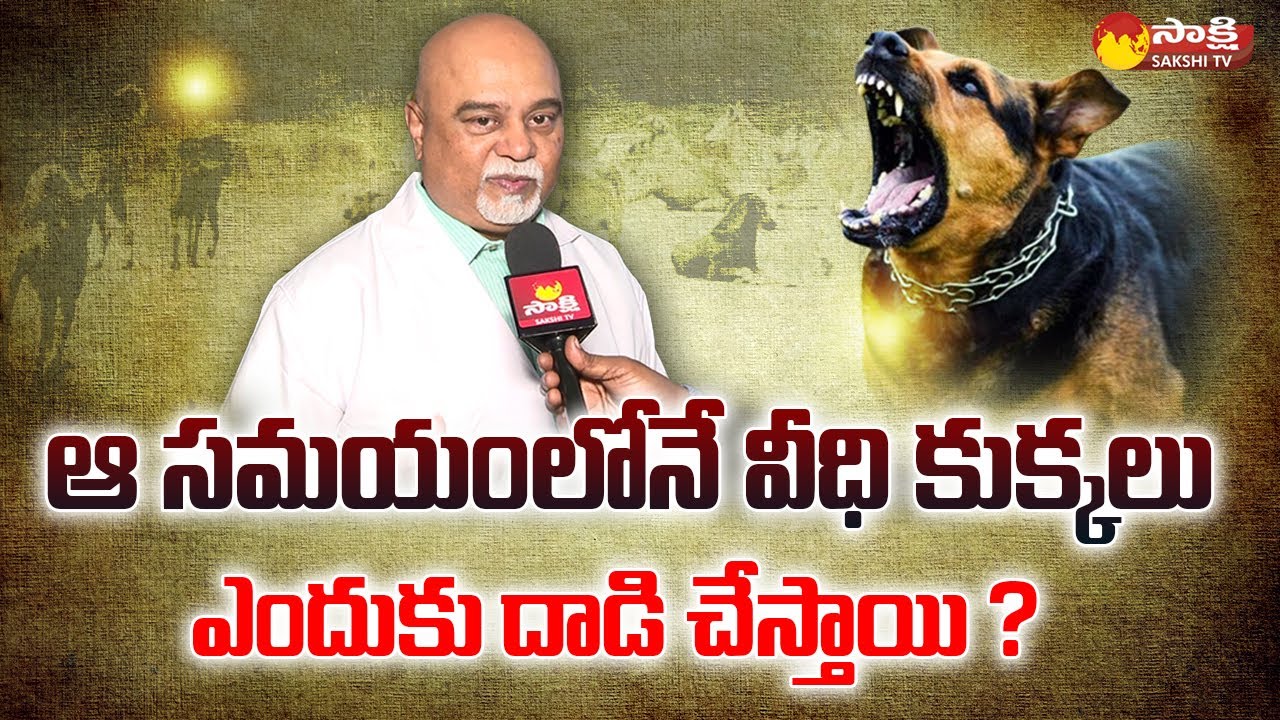 why-stray-dogs-attack-on-humans-veterinary-doctor-praveen-kumar