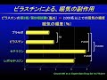 【抗ヒスタミン薬の副作用】ビラノア®︎とアレグラ®︎ってどう違う？どっちがいい？今選ぶべき抗ヒスタミン薬とは【花粉症、じんましん】