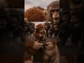 punch monkey ❣ #animallove #babymonkey #kindness #punch