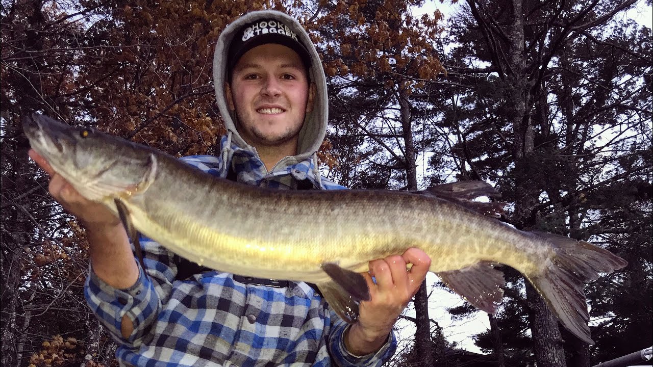 SOLO MUSKY Sucker Fishing Hayward, WI Pt. 1 YouTube