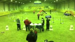Dawn & Ruby 25/11/13 Agility round Dog Central night