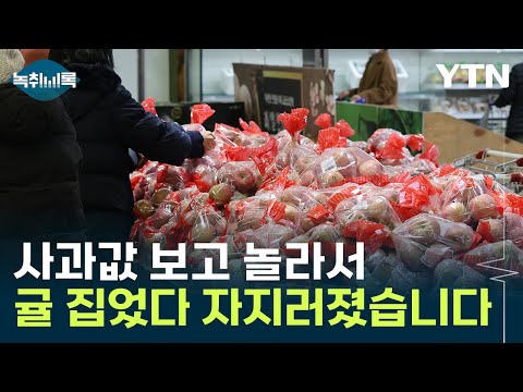 사과 집었다 &amp;#39;등골이 서늘&amp;#39;...가격 왜 이러나요 [Y녹취록] / YTN