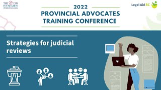 Strategies for judicial reviews