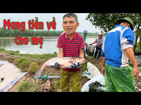 Video Mẻ Cá thứ 2.Vợ Chồng sung sướng bỏ két hàng trăm triệu - youtube