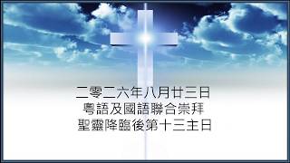 多循粵語及國語聯合崇拜 2026-8-23『賜生命與平安之道』