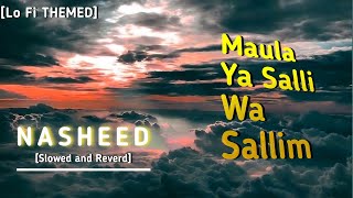 Maula Ya Salli Wa Sallim [Slowed and reverd] | Relaxing Nsheed || #nasheed #urdunasheed #islamic