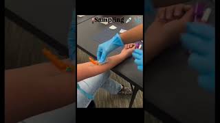 sampling procedure 💉🩺#icunurses#internationallyeducatednurse #nursingofficer#nurse #nclex##hospital