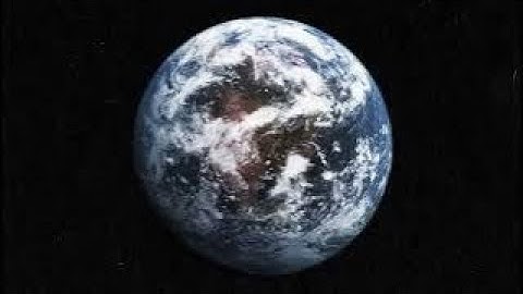 Trellis Group Trailer