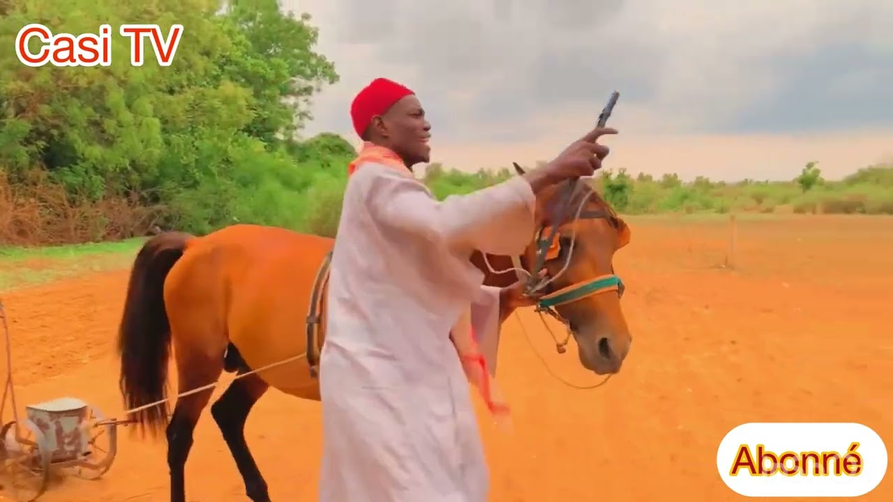 SEMENCES D’ARACHIDE DE TOKOR OUSMANE,SA RÉACTION SUR CE QUI SONT À DAKAR,Vrai ou faux