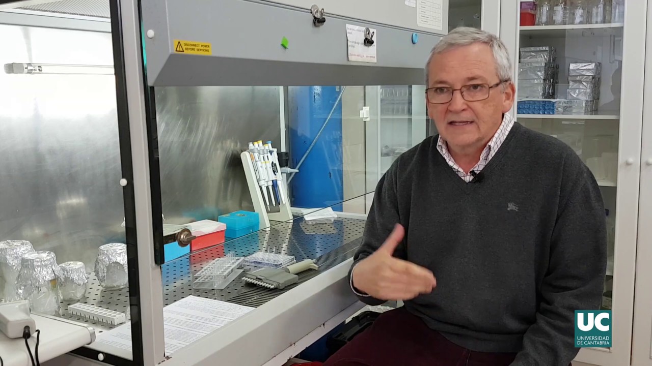Premio Nobel de Medicina 2018 unicancer