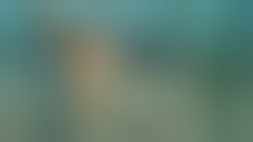 Fails of the Week 1 October 2016 - Fails Compilation