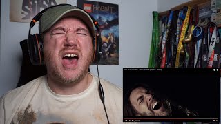 Pain of Salvation - Accelerator ("Offical Video") | Reaction/Review