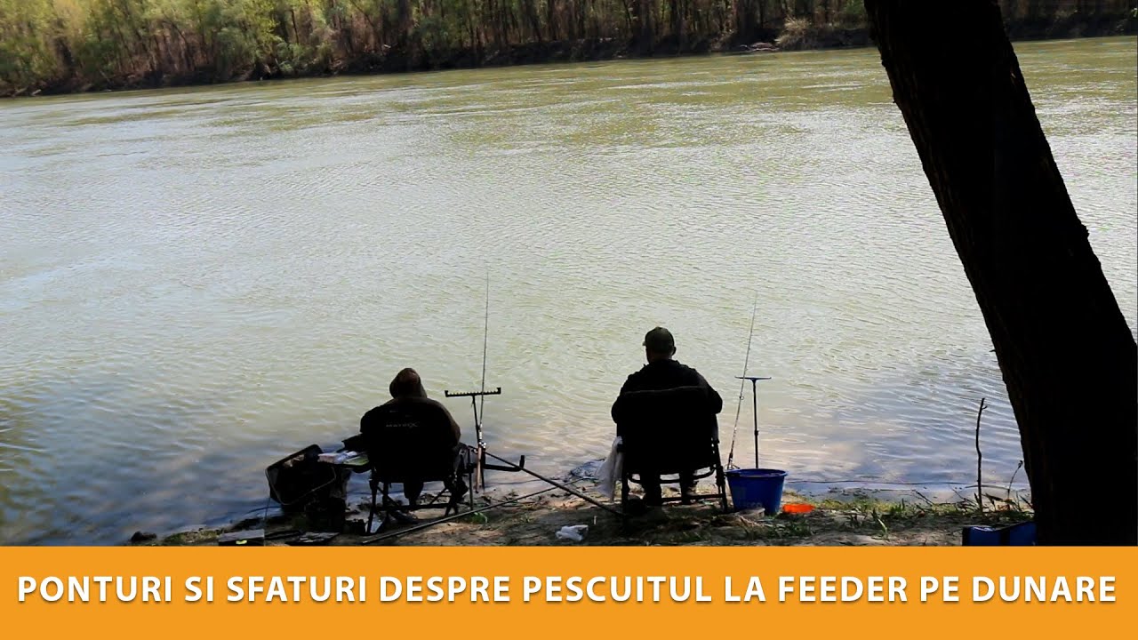 Pescuit la feeder pe Dunare, primavara pe apa rece - Sfaturi, ponturi si discutii libere!