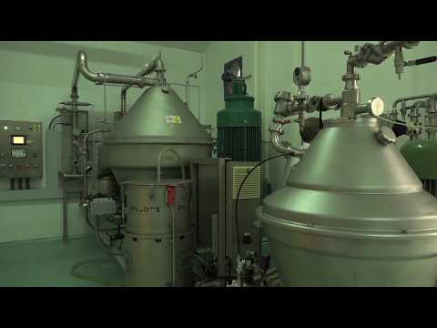 Video: Dunaliella Salina Süsiniku Tuuma Metaboolse Võrgu Rekonstrueerimine Ja Analüüs