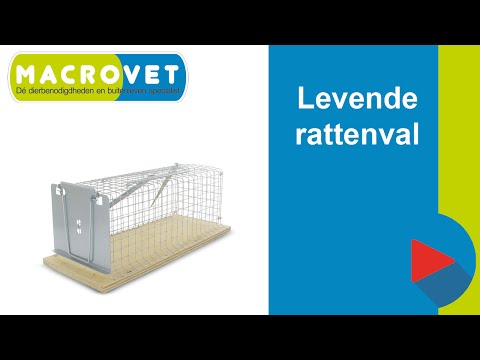 Video: Urinestenen Bij Ratten