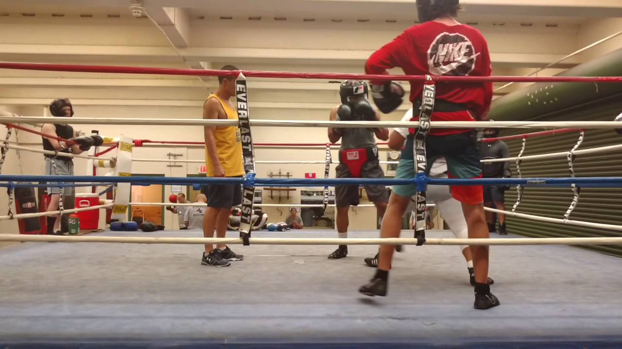 Palolo Boxing Sparring 6/22/2016 YouTube