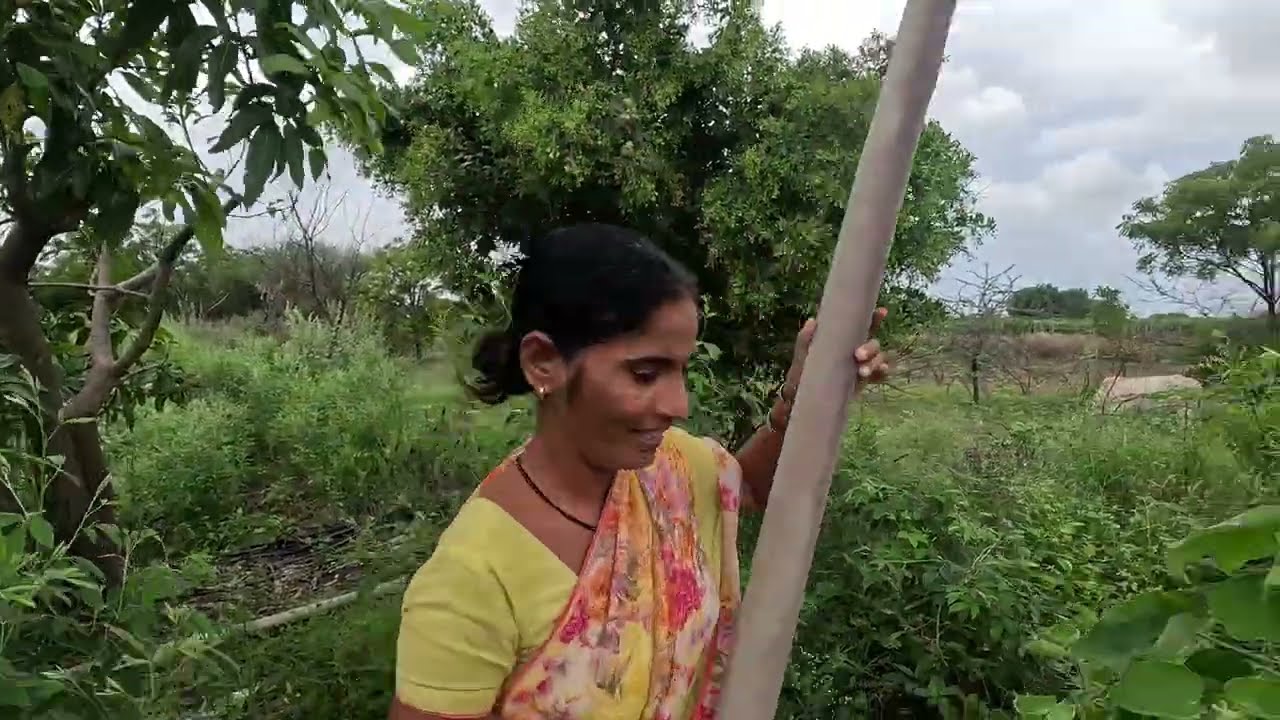 रात्रीच्या जेवणावरून कडाक्याचे भांडण, शेवट उपाशी