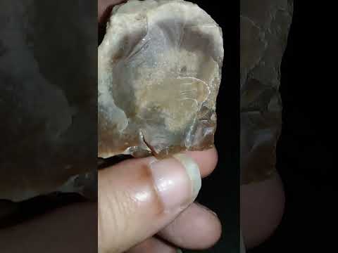 ممكن أعرف السعر من فضلك