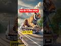 जब शेर ने लिया बदला । रुको आंखों पे यकीन ना होगा। #tiger #aianimation #shorts #aivideo #wildwife