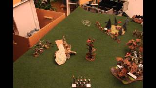 9a WHFB 8th Ed battle report High Elves vs Wood Elves screenshot 3