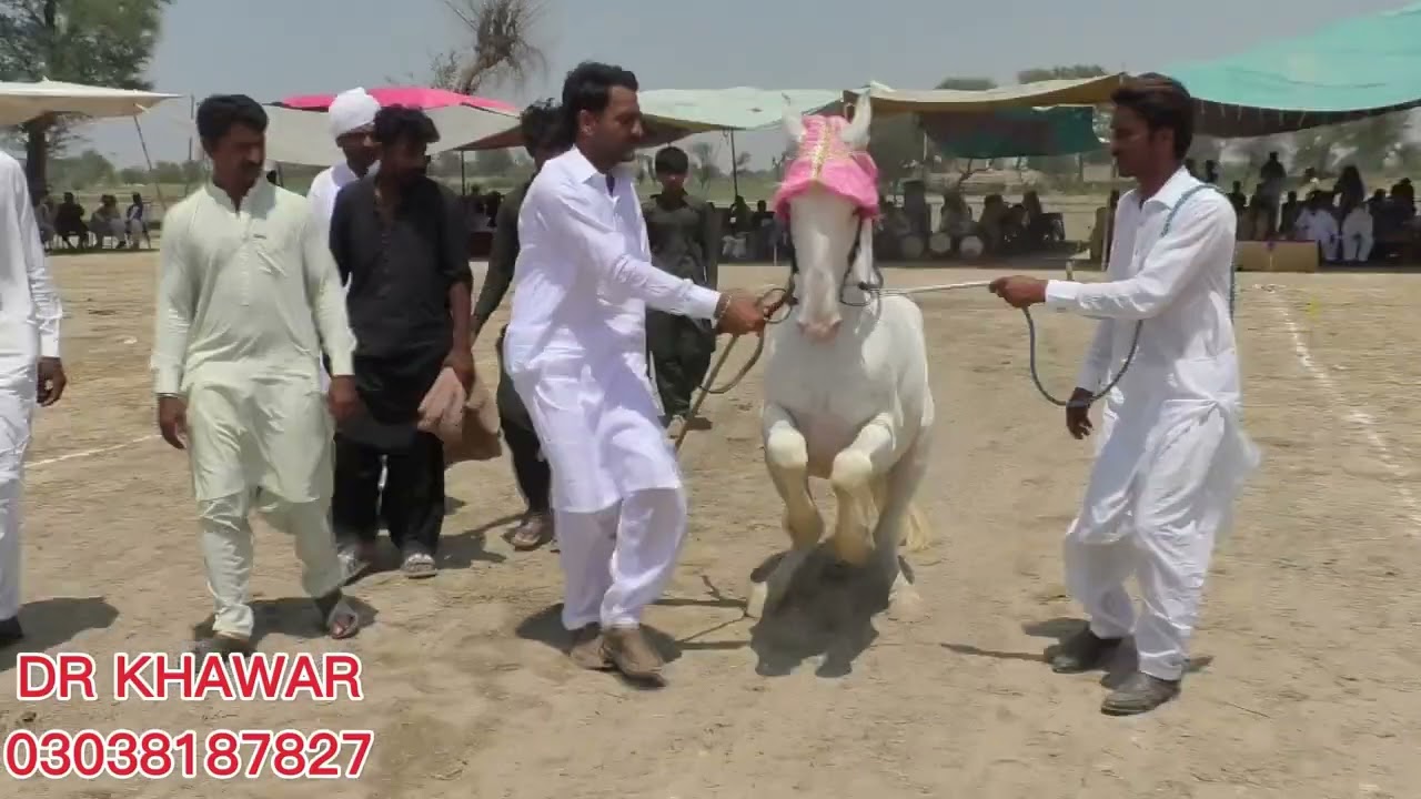 HORSE DANCE AT MELA BELI DILAWAR