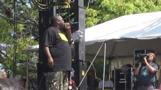 Killer Mike - Big Beast - 2013 Pitchfork Music Festival