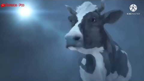 Sapi Lucu Joget [ Lagu Selamat ulang Tahun ]
